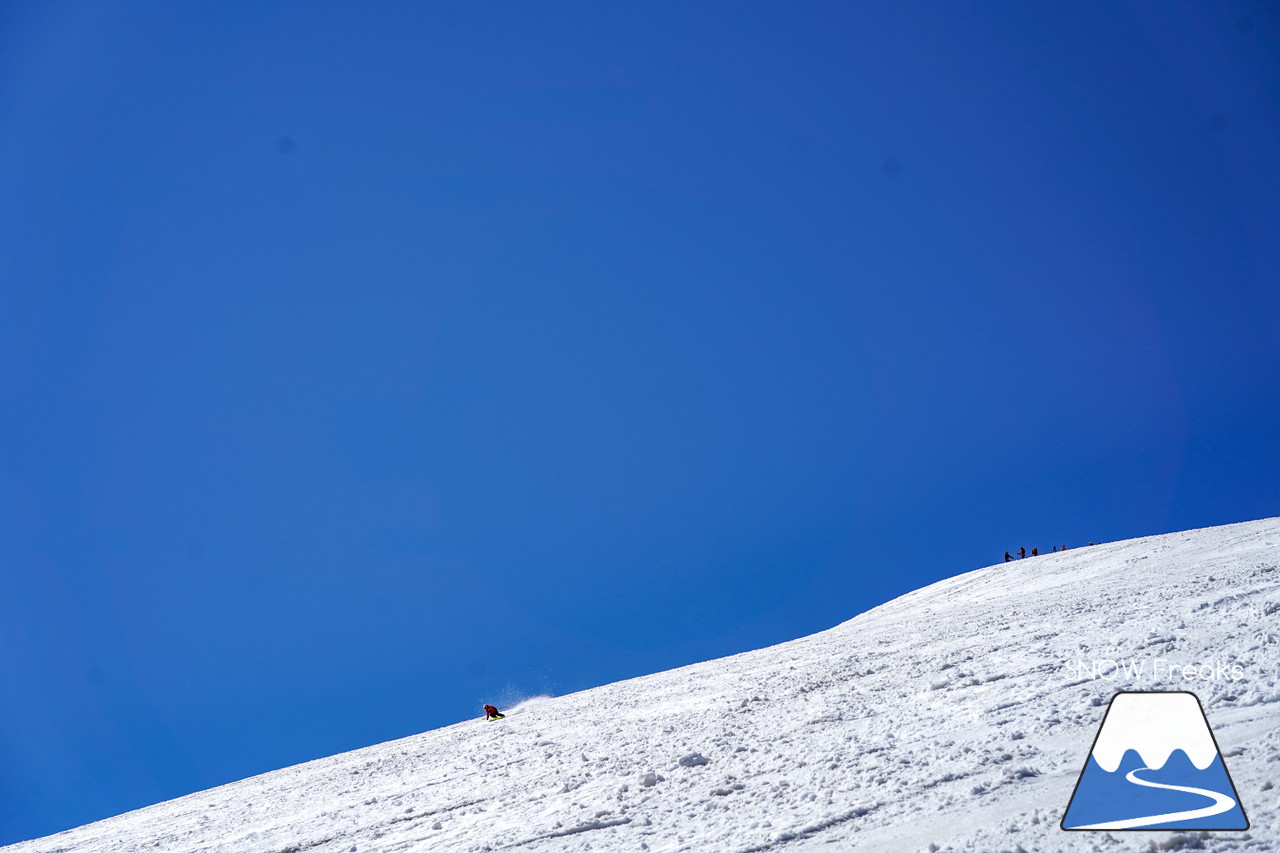 ニセコグラン・ヒラフ DYNASTAR SKI TEST RIDE DAYS Photo Session!!最高の天気に恵まれたニセコに、最高の仲間たちが集まりました☆